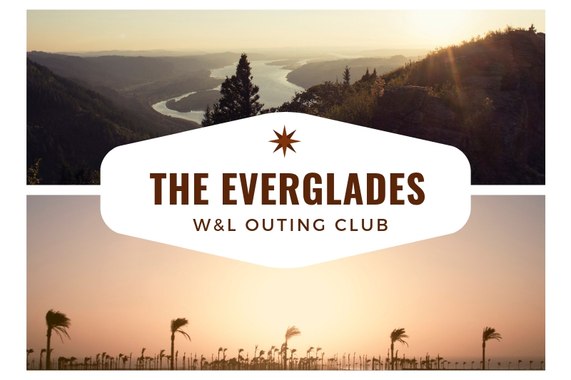The everglades