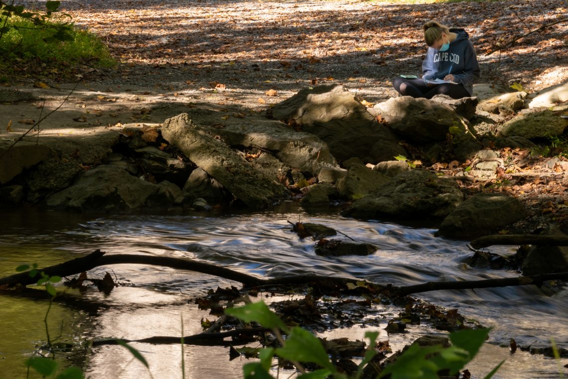 Students in Assistant Professor of Environmental Studies Chelsea Fisher&#039;s class work on multispecies ethnographies next to Woods Creek.