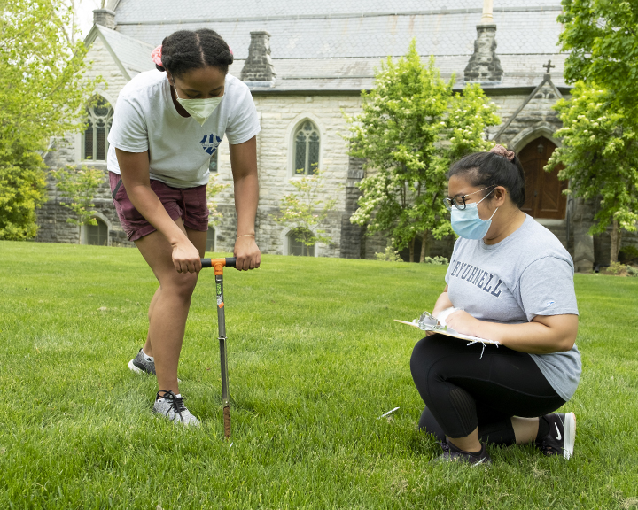 Plant Functional Ecology