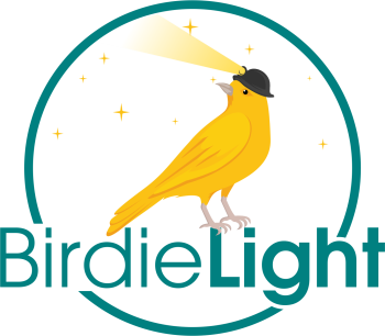 BirdieLight-logo-350x306 W&L Hosts “Dangers of Fentanyl” Event, Presented by BirdieLight