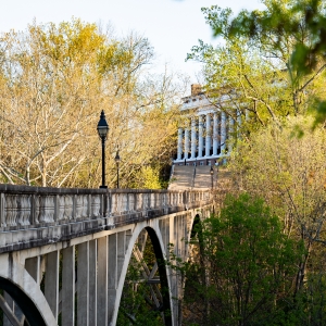Wilson Field Bridge
