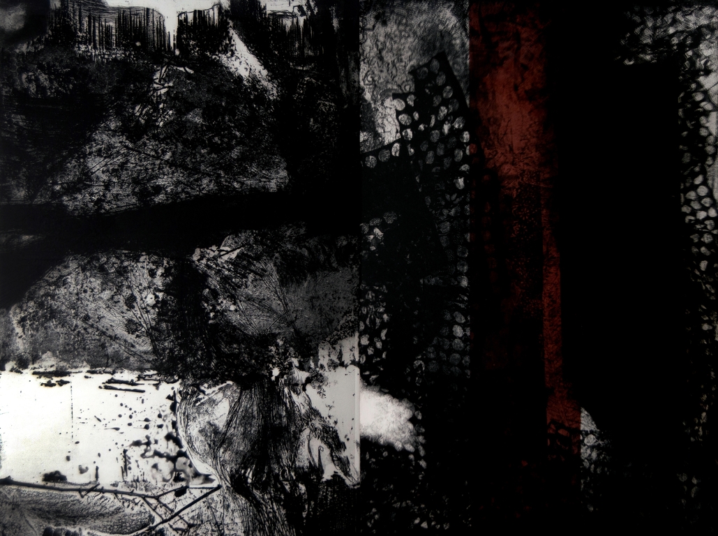 Petra I, 1992 Etching, soft-ground etching, aquatint, scraping, chine collé Edition: 9/25 35 ½ H × 47 ½ W inches Museum Purchase, 2023