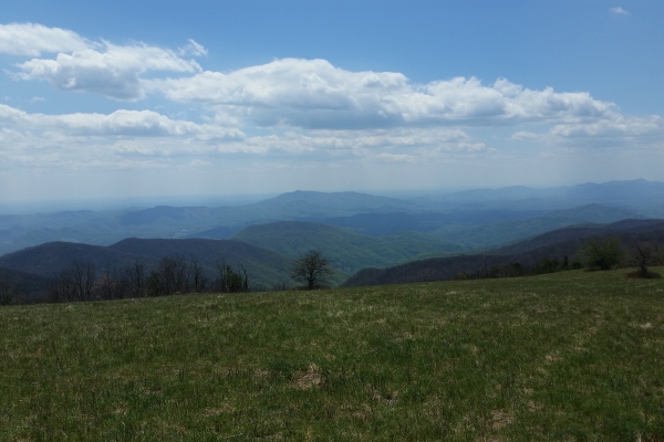 Cole-Mountain-600x400 Celebrating Spring: Outing Club’s Top Five Hikes