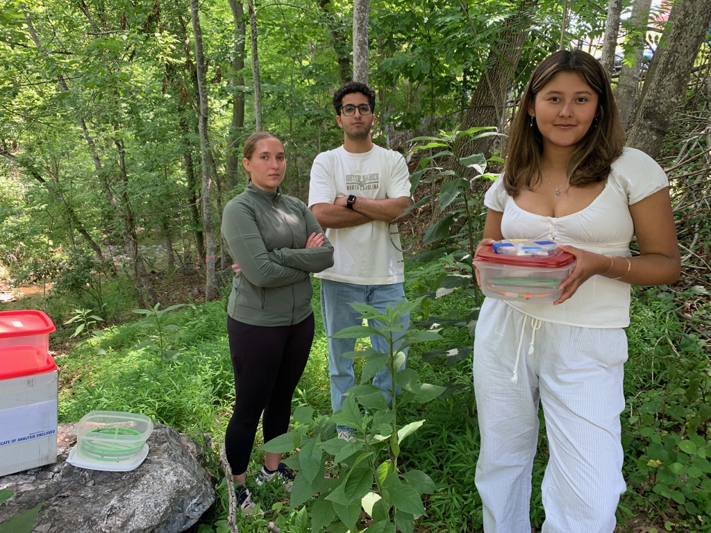 IMG_1123WP-1024x768 Finding Her Voice 