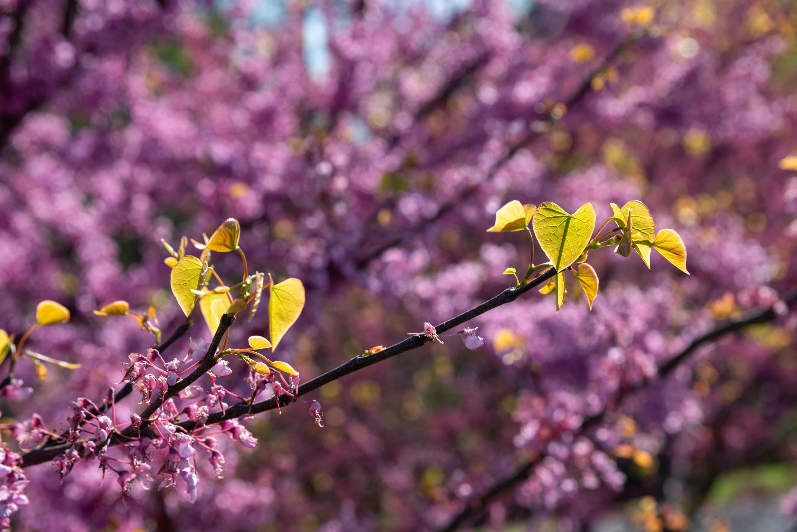 RTD_0050-scaled Student Snapshots of 2025