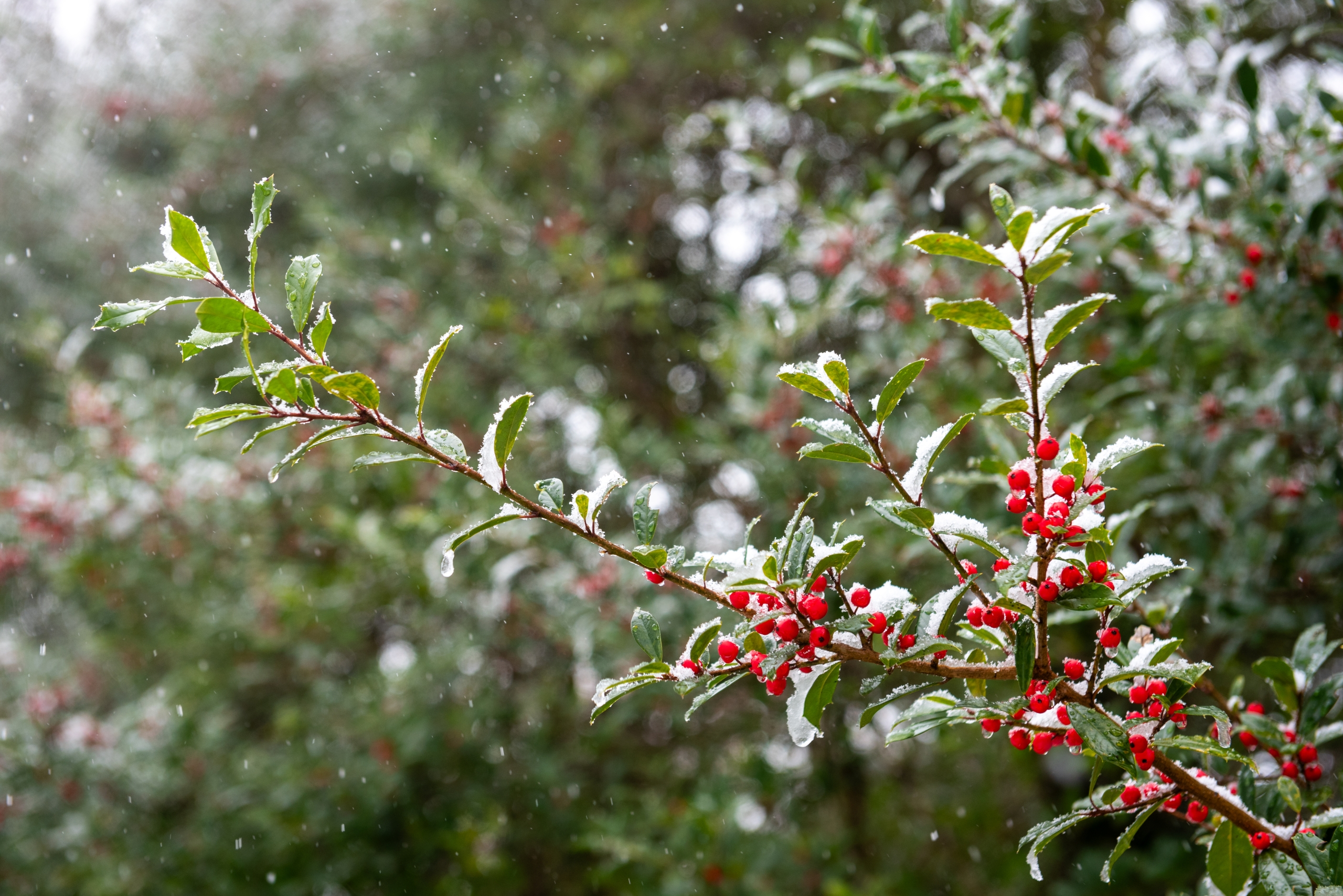 RTD_2278-scaled Student Snapshots of 2025