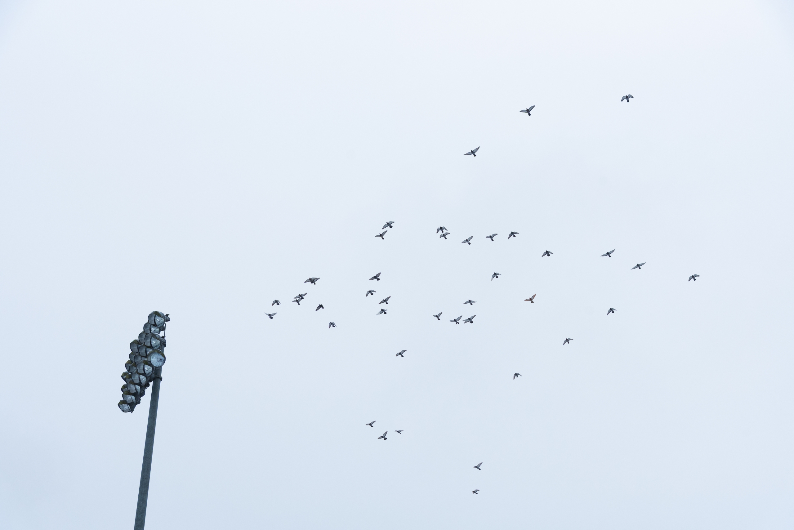 RTD_5393-scaled Student Snapshots of 2025