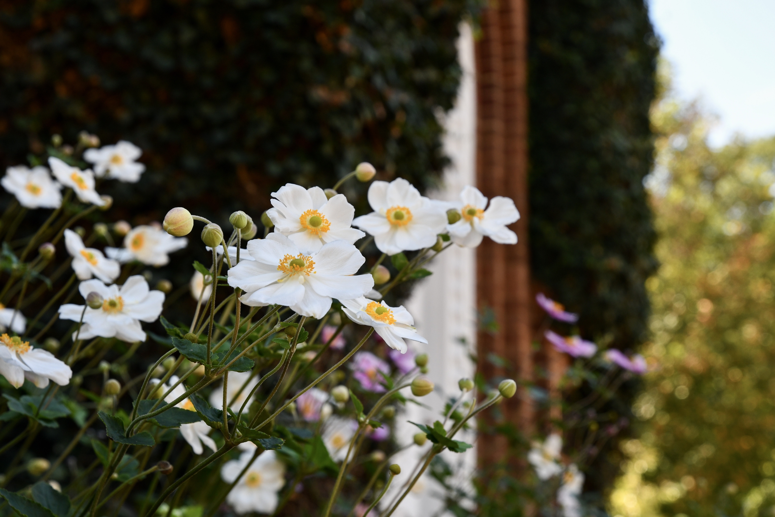 September-IBF_245-scaled Student Snapshots of 2025