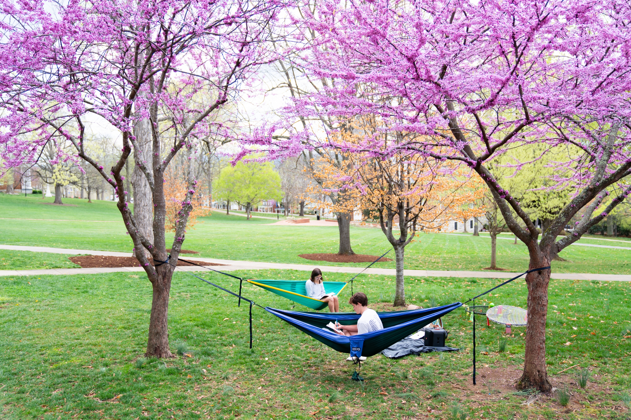 Shelby_TopTen_0001-scaled Snapshots of 2025