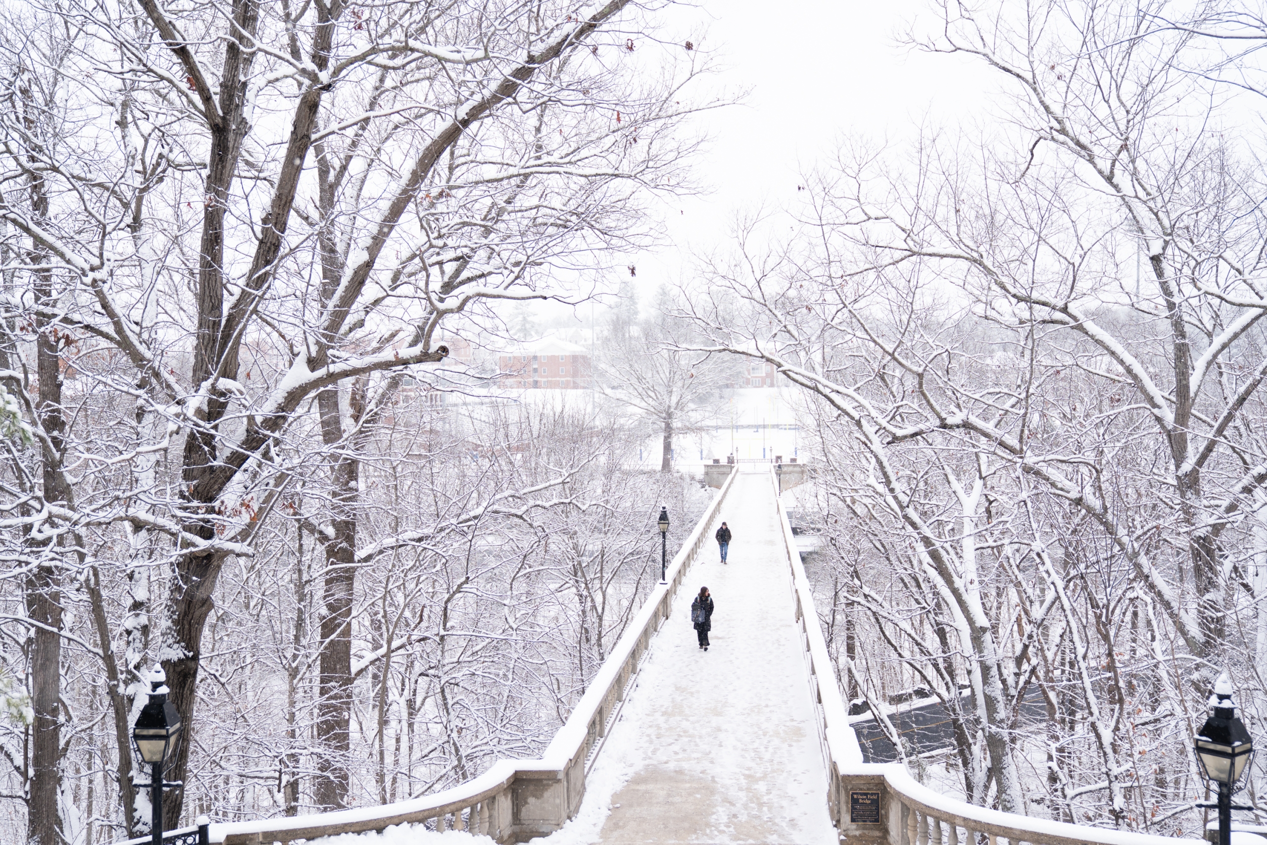 Shelby_TopTen_0010-scaled Snapshots of 2025