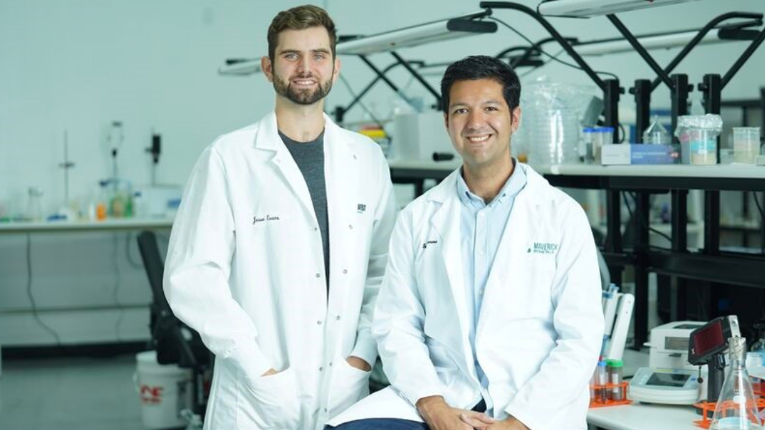 Refining an Industry