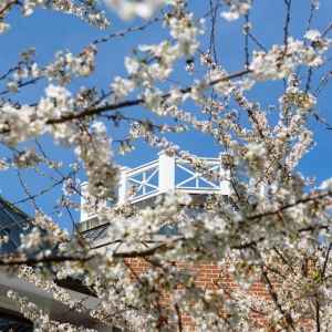 The roof of Watson Galleries overlapped with spring blooms. Photo by Ryan Doty ’26