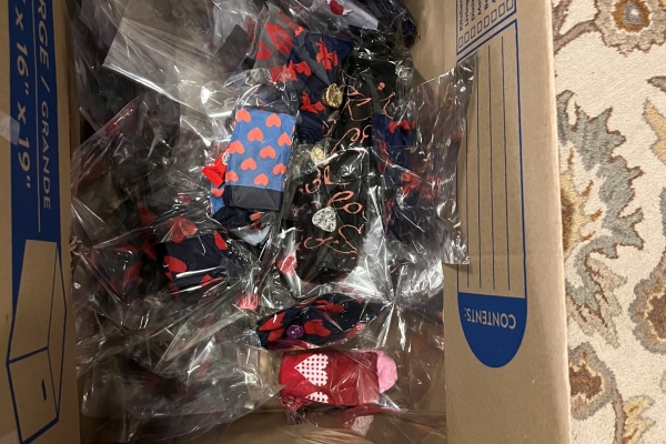 SS-sock-grams-scaled-600x400 Best Foot Forward